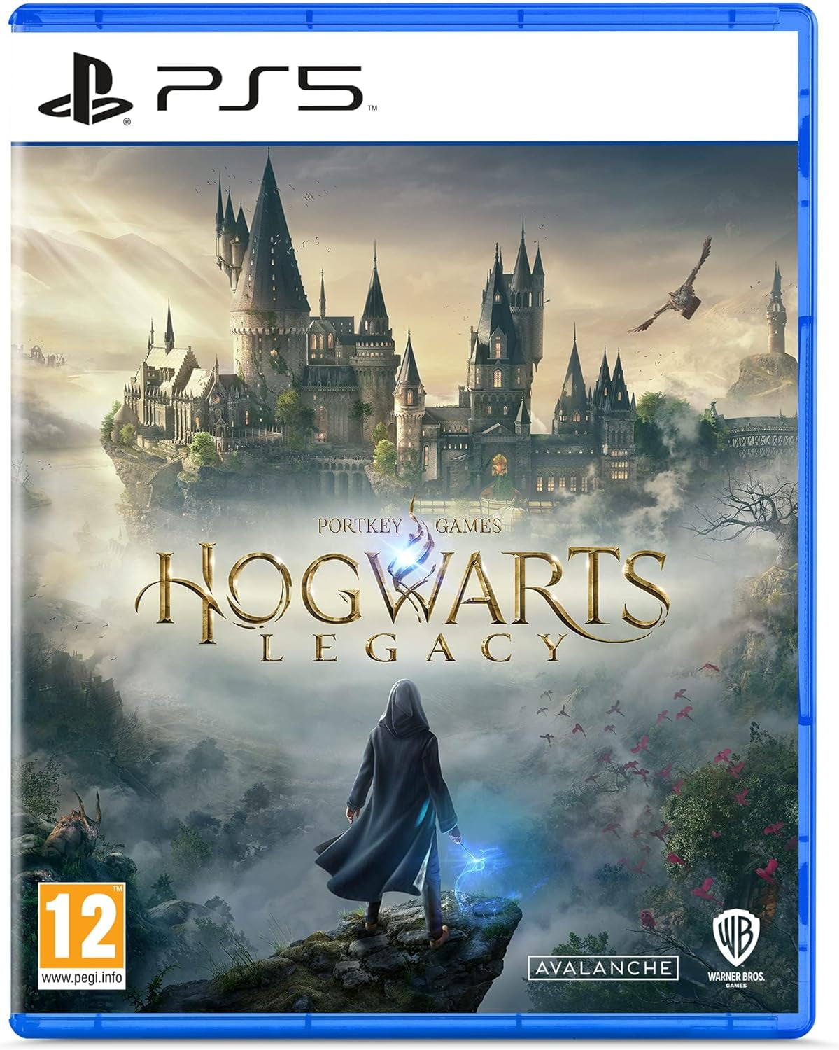Hogwarts Legacy /PS5