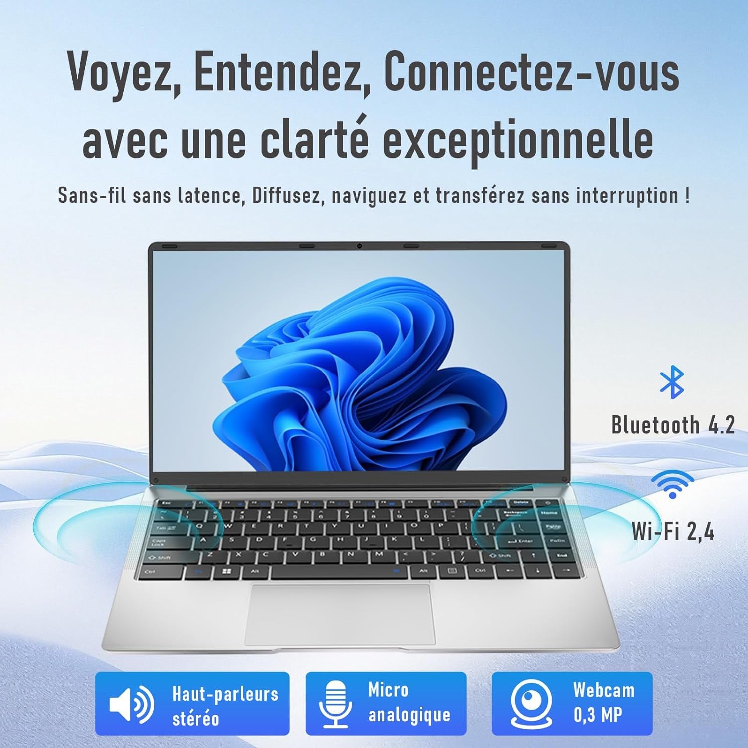 Ordinateur Portable 14,1